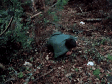 1990075331_bete-lumineuse-saoul(1).gif.193d8af4f2bde012b59da96afd25d51a.gif