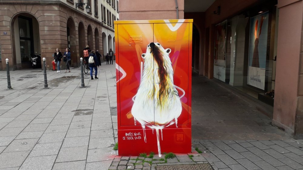 20190410_150448.jpg