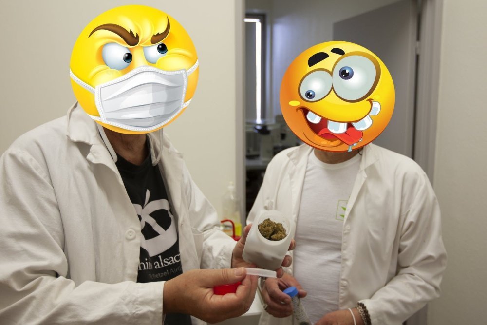 CNRS REAL PHP.jpg
