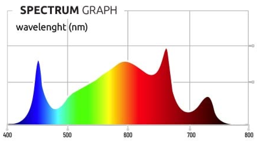 968298968_lum300.png.a7c0b8745aeaa48b9724d569e5eab231.png