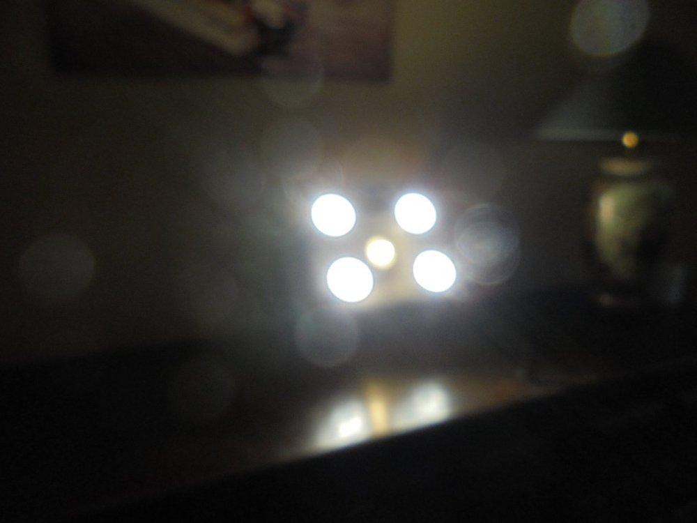 DSC06728.thumb.JPG.12a499f54dbf7a367533760d092096f6.JPG