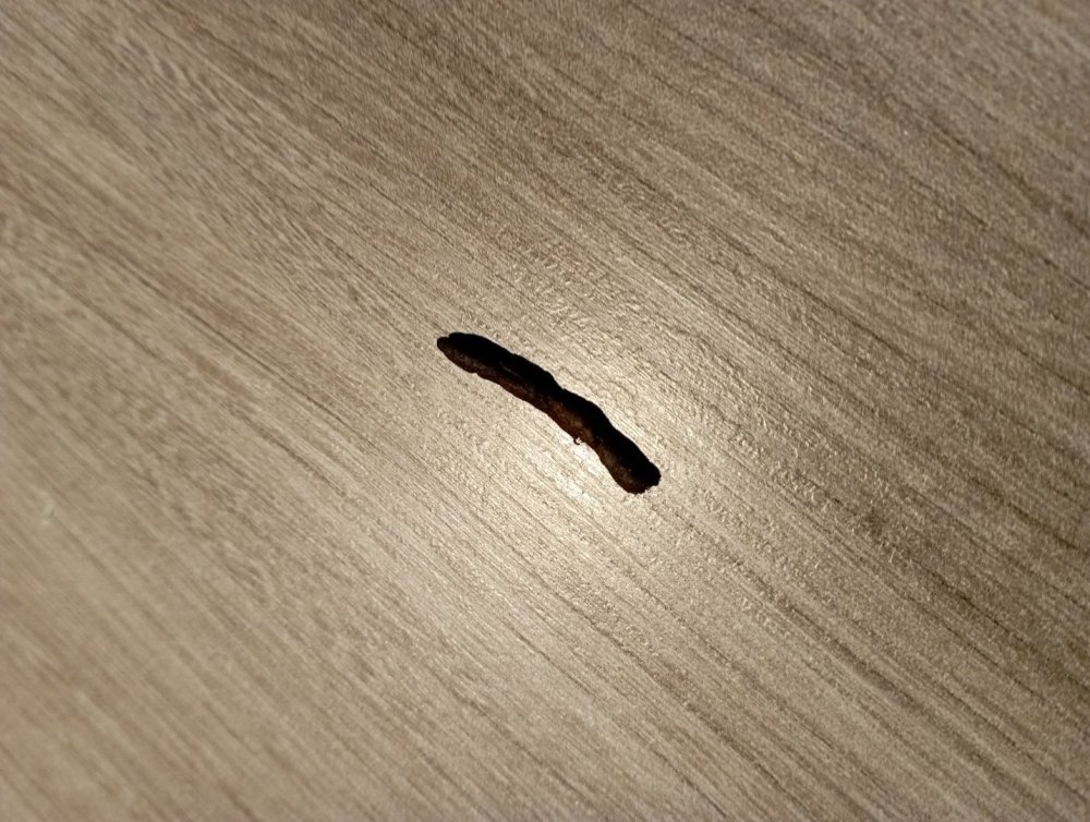 IMG_20230213_033923.jpg