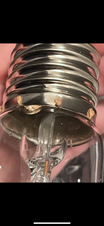 IMG_5891.thumb.PNG.761d9813653fc11700c667d27e1c1325.PNG
