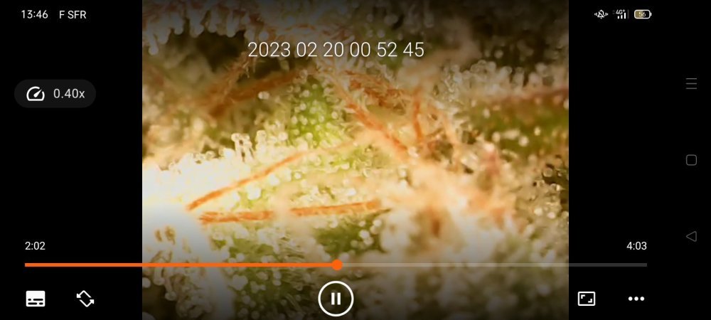 Screenshot_20230220_134649.thumb.jpg.893472ef4663506c0bd5080971eac2b1.jpg