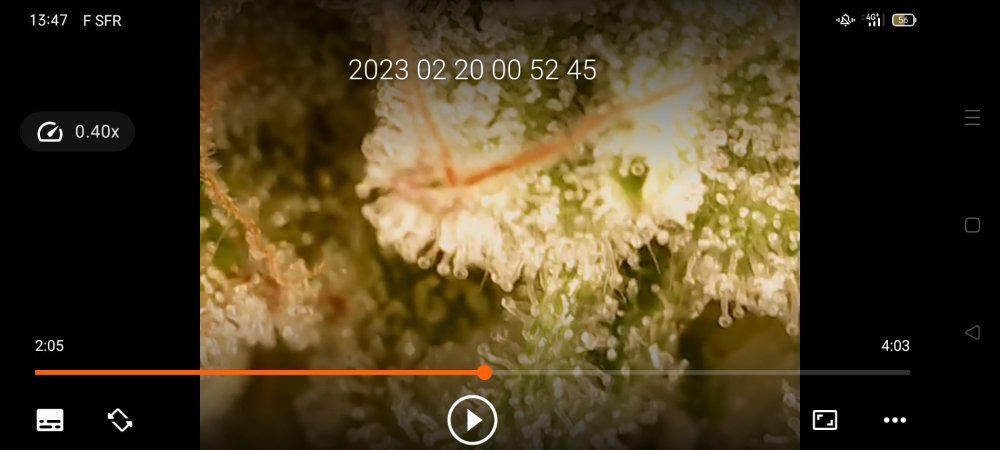 Screenshot_20230220_134706.thumb.jpg.760caf4ac48b5b56583bd93d7d0aeefd.jpg