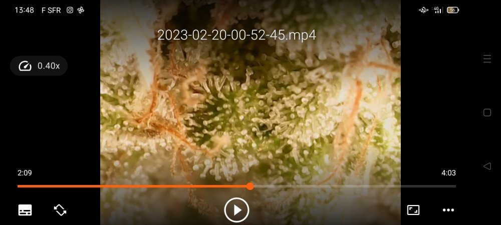 Screenshot_20230220_134824.jpg