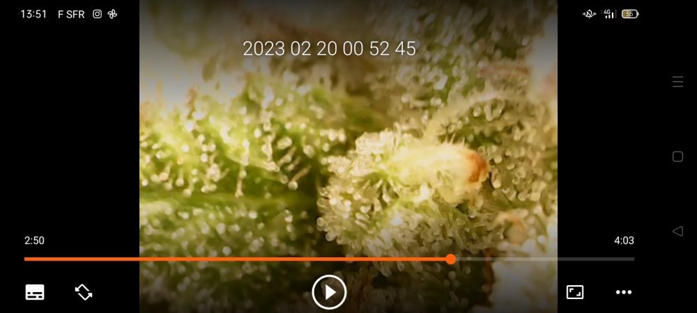 Screenshot_20230220_135142.jpg