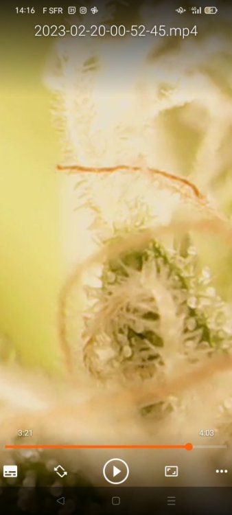 Screenshot_20230220_141630.thumb.jpg.15d516d4c5754d8ffbb0e7b445dd21b4.jpg