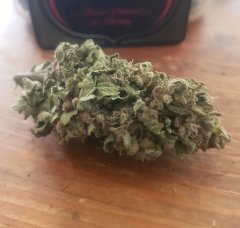 Og18 (2)