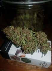 Passion fruit 2