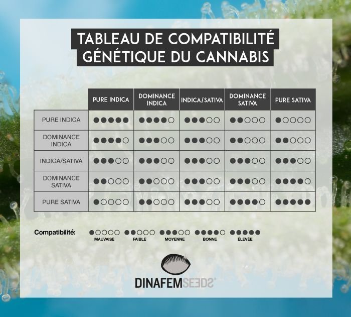 tabla-compatibilidad-hibridos-FR_blog_cdn.jpg.ac7a30227b367b8d4e90a10225591aa5.jpg