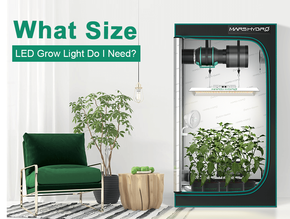 What size led grow light do i need (1).png