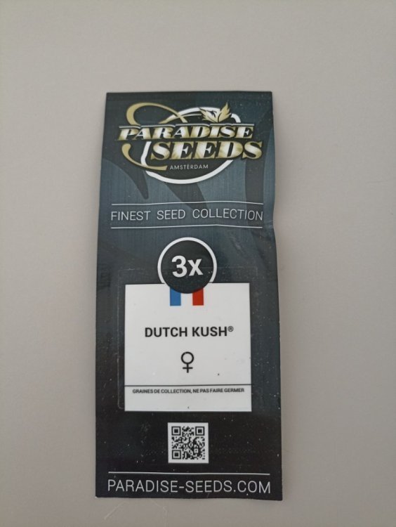 2028419631_DutchKush.thumb.jpg.37e15517d5fb071ff2544b2a13db0857.jpg