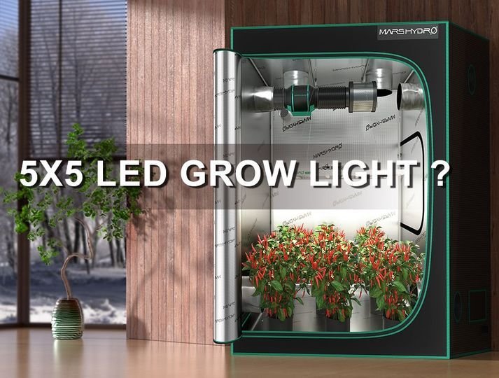 4444444.jpg