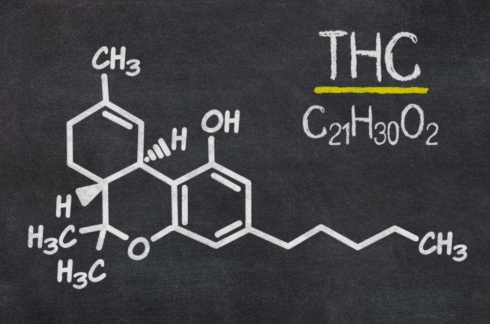 Chemical-structure-THC-1024x678.thumb.jpg.59b962b030e115025282bc00621749cd.jpg