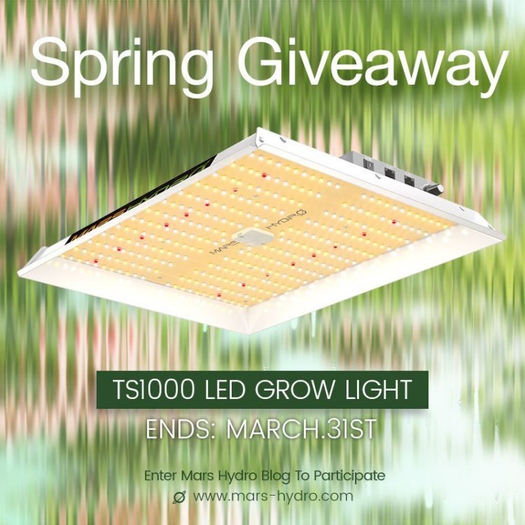 Giveaway1000x1000(1).jpg