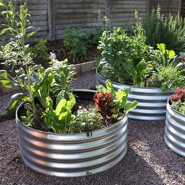 RainQueen-Garden-Bed-round.jpg.a9b24284aaa8b5d9b5ef0d1cf6b2e01b.jpg