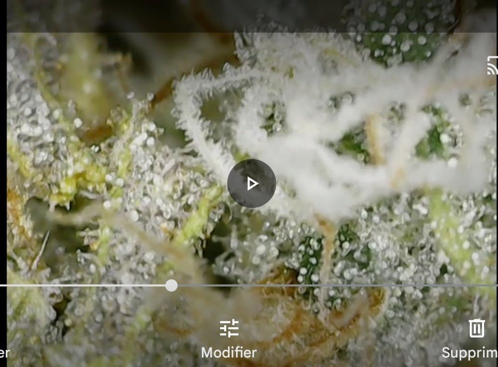 Screenshot_20230305_005354.jpg