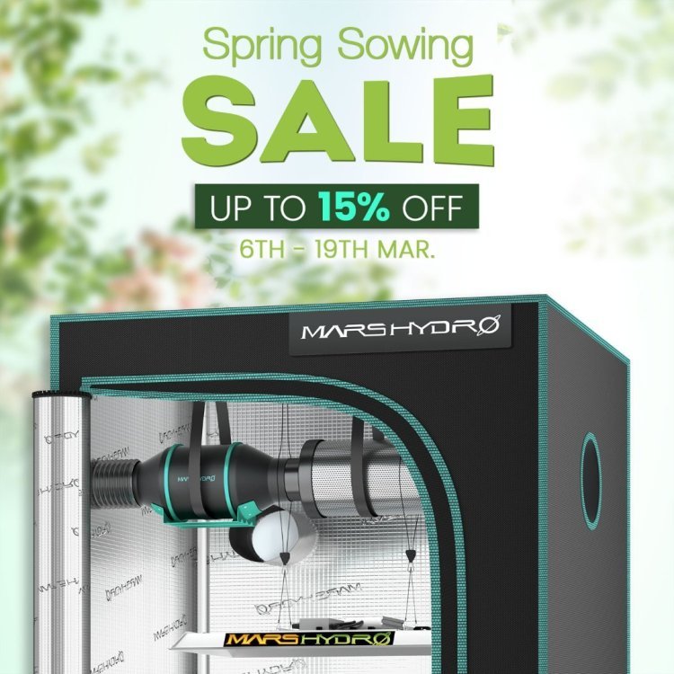 Spring-Sowing-Sale-1500x1500(3).jpg