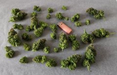 [Màj 8] [C+56, S+12 et F+52] - SXL (aperçu cut).jpg