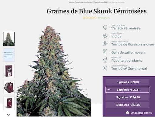 1381779233_GrainesdeBlueSkunkFeminisees.jpg.1f39ff7cb9d5c238f77744806af60451.jpg