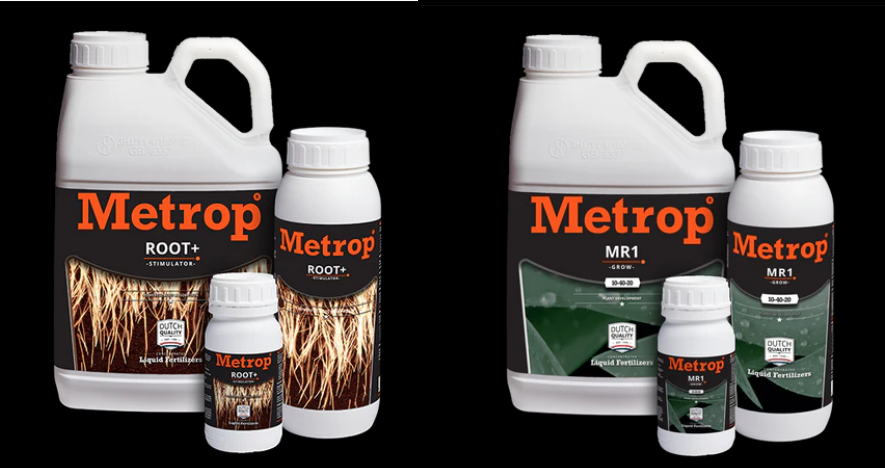 1832319581_root.png.4a00bbb411fcd58153296afc04df3407.png