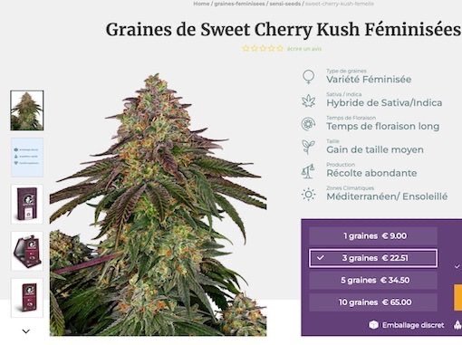 1841413691_GrainesdeSweetCherryKushFeminisees.jpg.b734da9a12e1c322a0bdc582a0b1094a.jpg