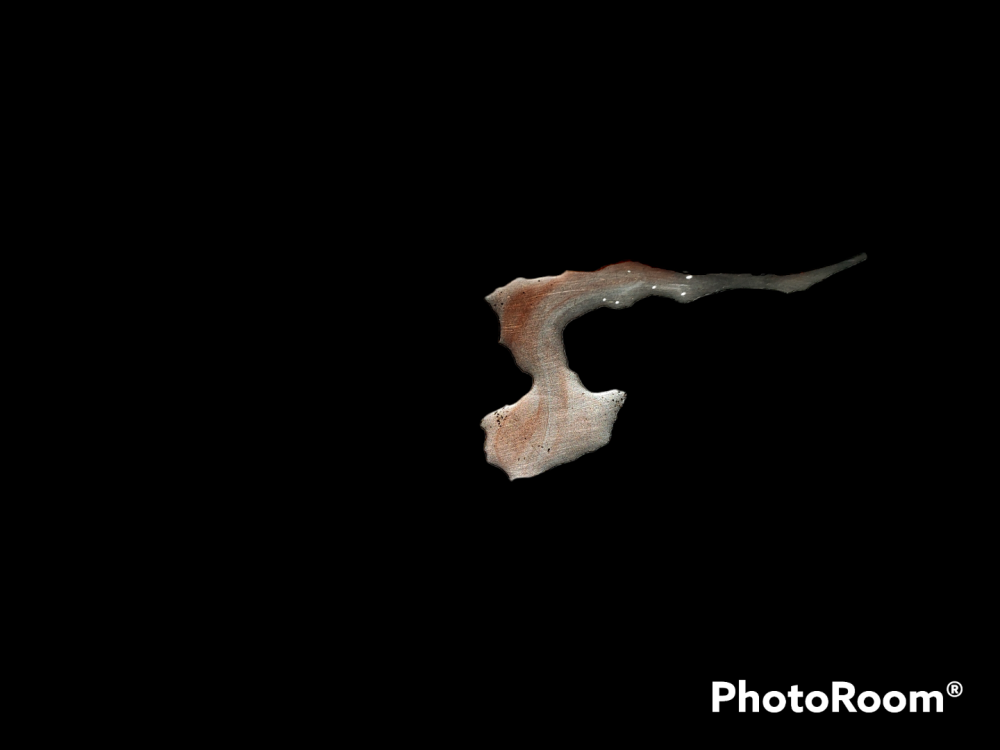 PhotoRoom-20230417_164657 (1).png