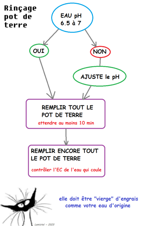 525568483_Rinageterrepotcultureplanteverte.thumb.png.adb777a2edeeec2180887c0e57e9b267.png