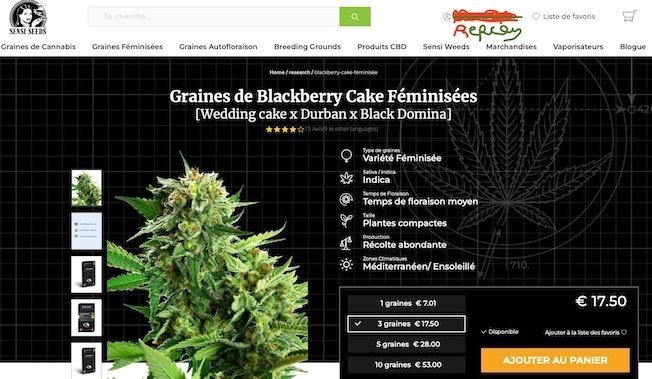 613921494_CrainesdeCannabisGrainesFeminiseesGrainesAutofloraison.jpg.e52a9e66870bd722d611b36f7fa1fe3f.jpg