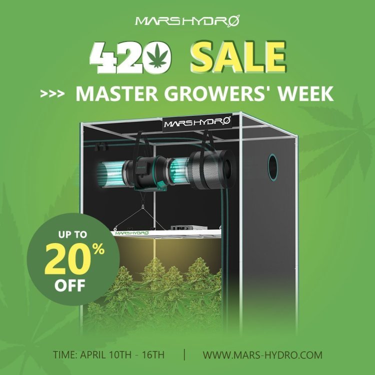 420大师周-1.jpg