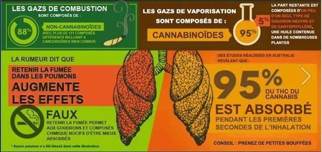 FumerOUvaporiser.jpg.504f23829876dd2a4bb89f5fb11ac2f7.jpg