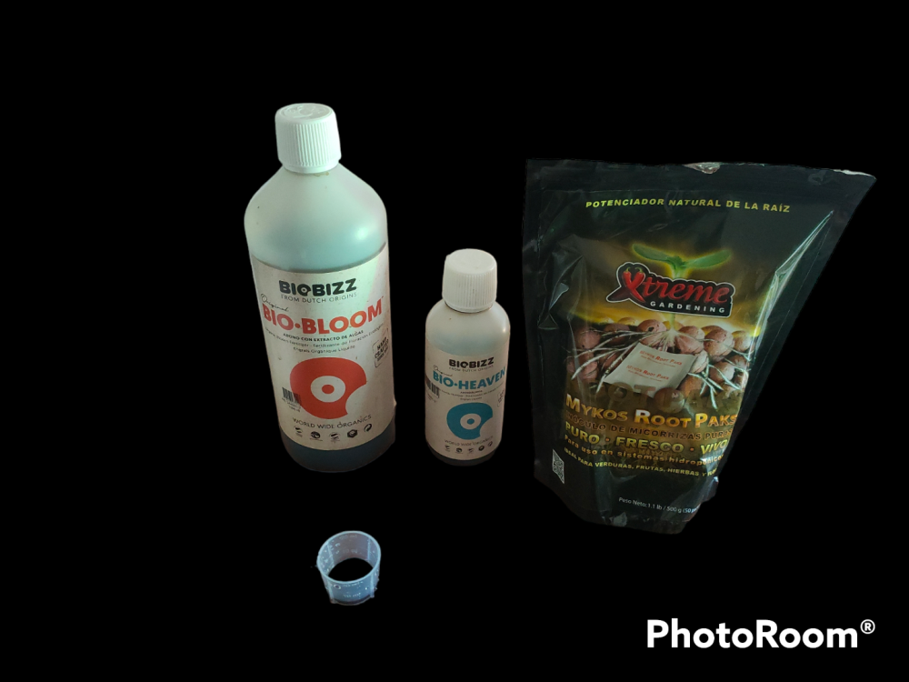 PhotoRoom-20230417_164332.png