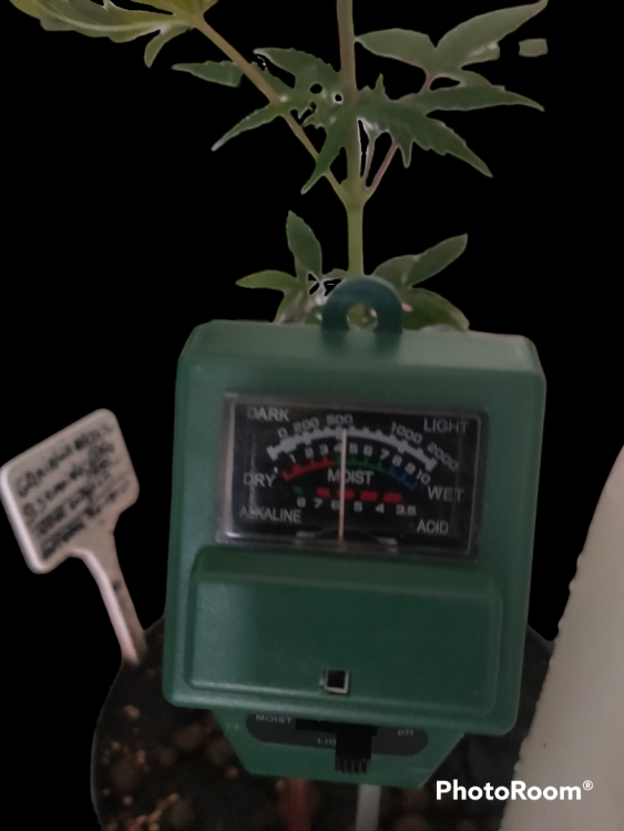 PhotoRoom-20230417_170127.png