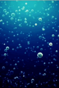 RDVY.gif.1d7e21f531f8bcb5ff93d54ea6b8ed5c.gif