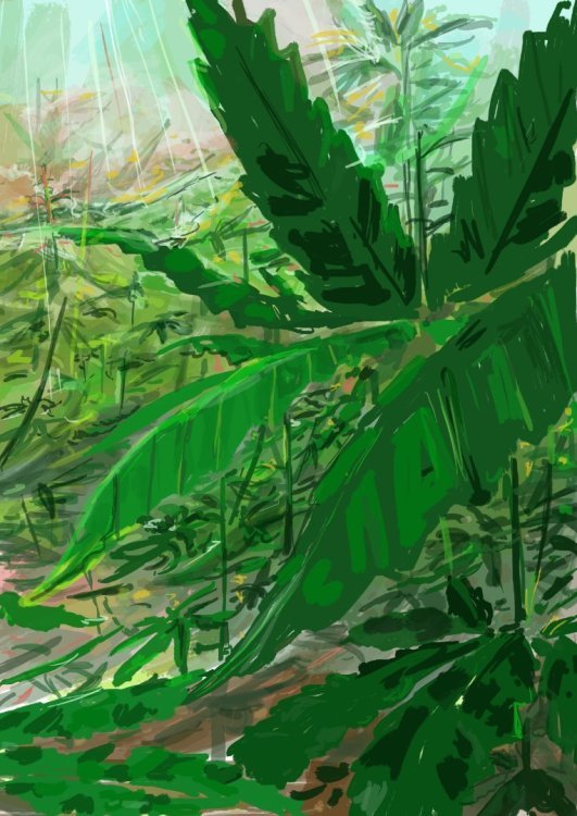 doodlecanhighcolors.jpg