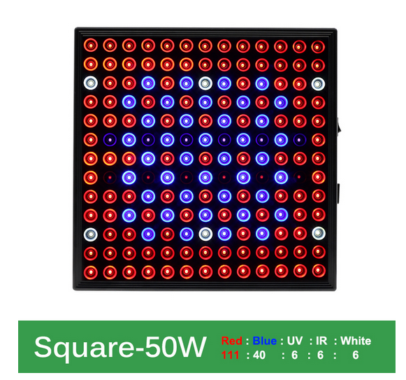 rampe.PNG.3b7aa926d8c0ae3edc7c042e5a9ae0e3.PNG