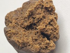 20230416_114813.jpg