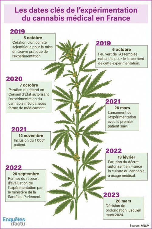 cannabis-medical-2023.jpg