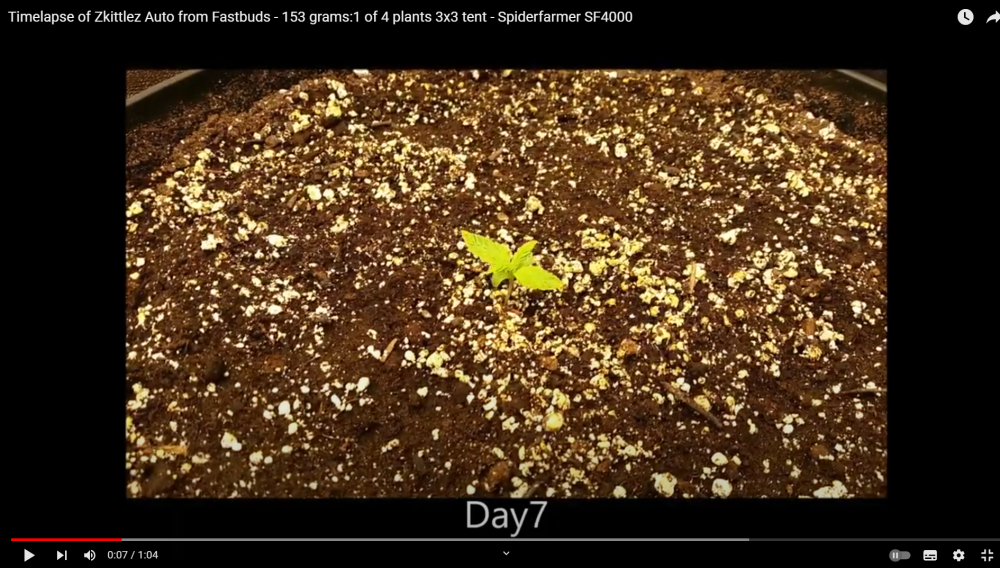 hh.thumb.png.e6dfd0868c80ba347195cabb5e10a651.png