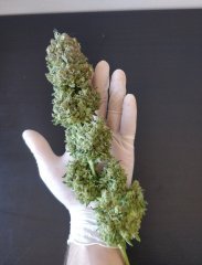 [Màj 10] - Cut CT (5).jpg