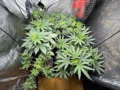 ADBAA348-FE9E-4A3D-A372-4F99DCFF75FE.jpeg