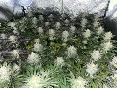 D3EBCD99-C598-4D71-9CFB-0DB44B332012.jpeg