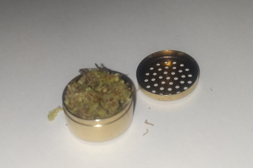 1247492474_dedansMightyLamictal3.thumb.jpg.c28d509c493942d84699c8f5e68e4ba7.jpg