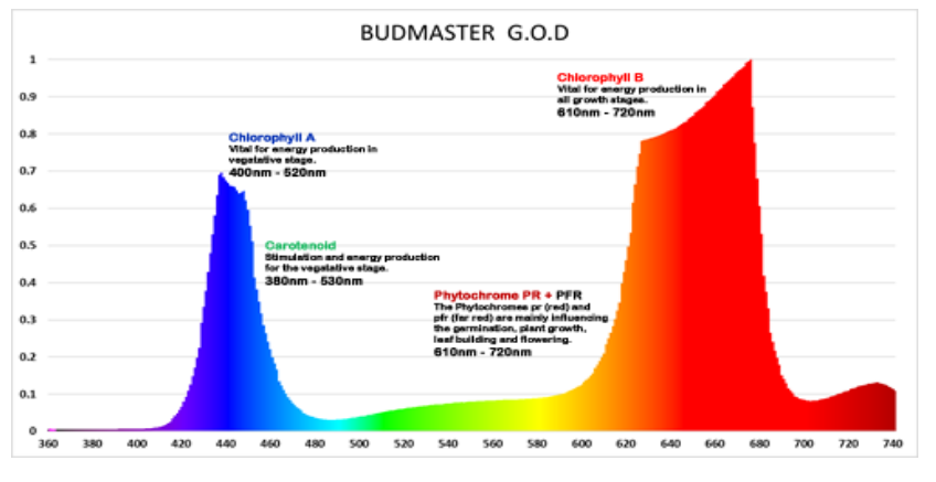 1373324472_budmaster2god1200.png.bbc22f586e9144fb1cf6607b6d919777.png