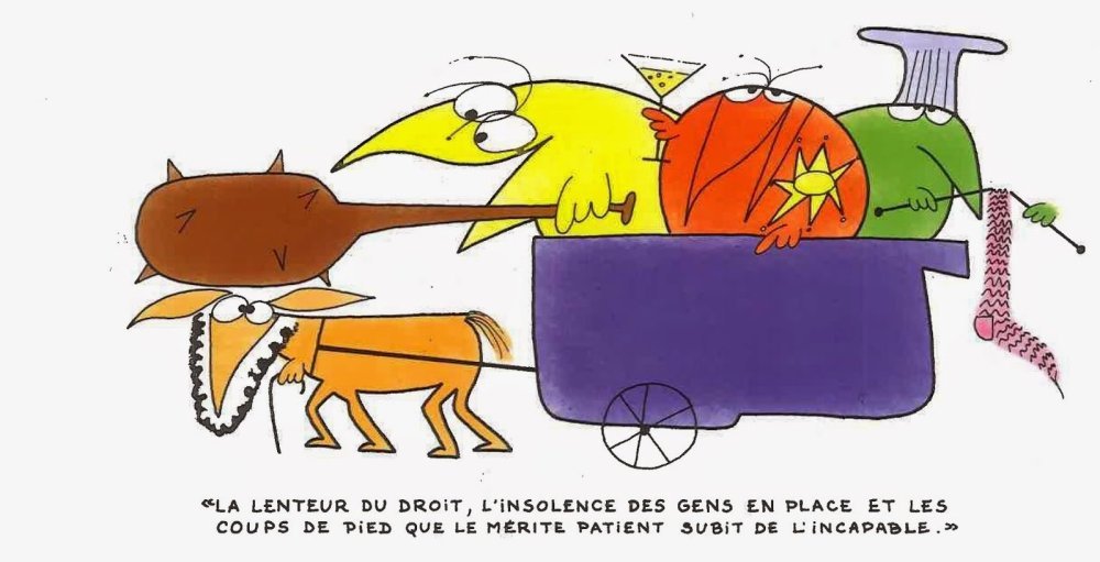 20170118_104308Sans_titre.jpg