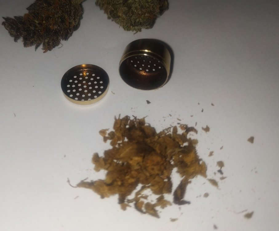 463991939_dedansMightyLamictal5.thumb.jpg.14deef7aa2887ae02fbb6098eeea63f0.jpg