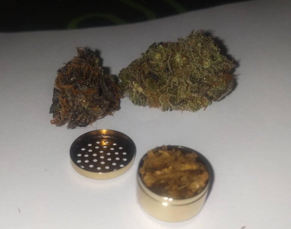 641054428_dedansMightyLamictal6.thumb.jpg.74b7a31ce136da6a429f18356468e78b.jpg