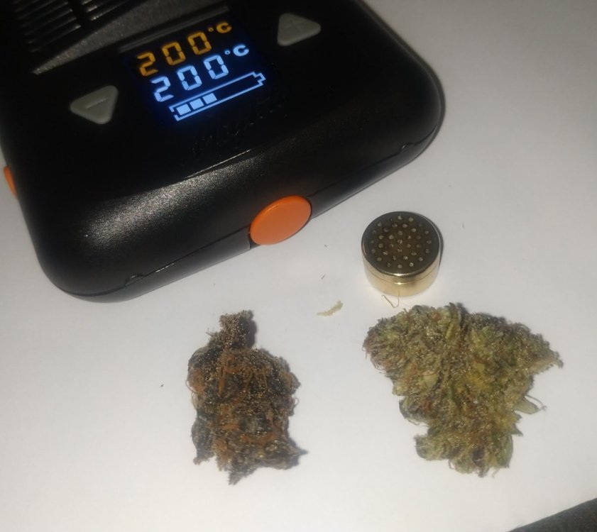 760648517_dedansMightyLamictal4.thumb.jpg.a66d76466beace6667b8a522d0e859a2.jpg