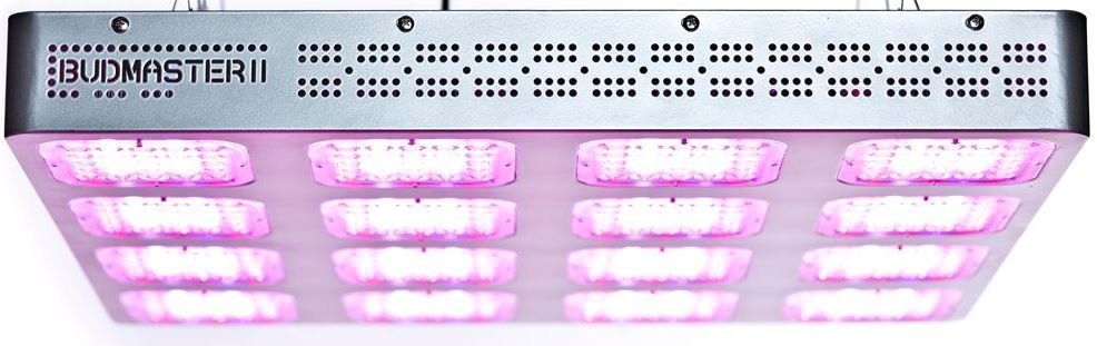 Budmaster-II-1200-G.O.D-LED-Grow-Light-2.jpg.e7de41cc4181eff36e785967234e0a21.jpg